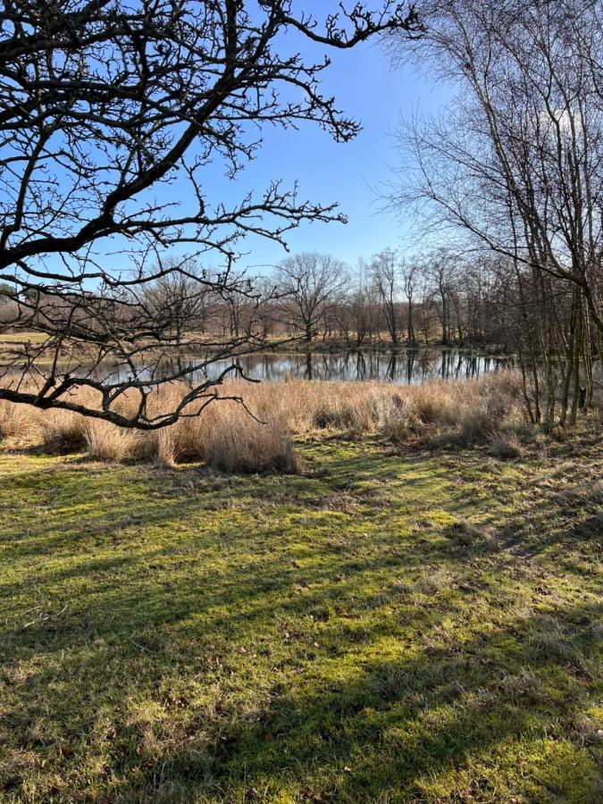 Overnachten In Zeeland Burgh-Haamstede Eksteriør billede